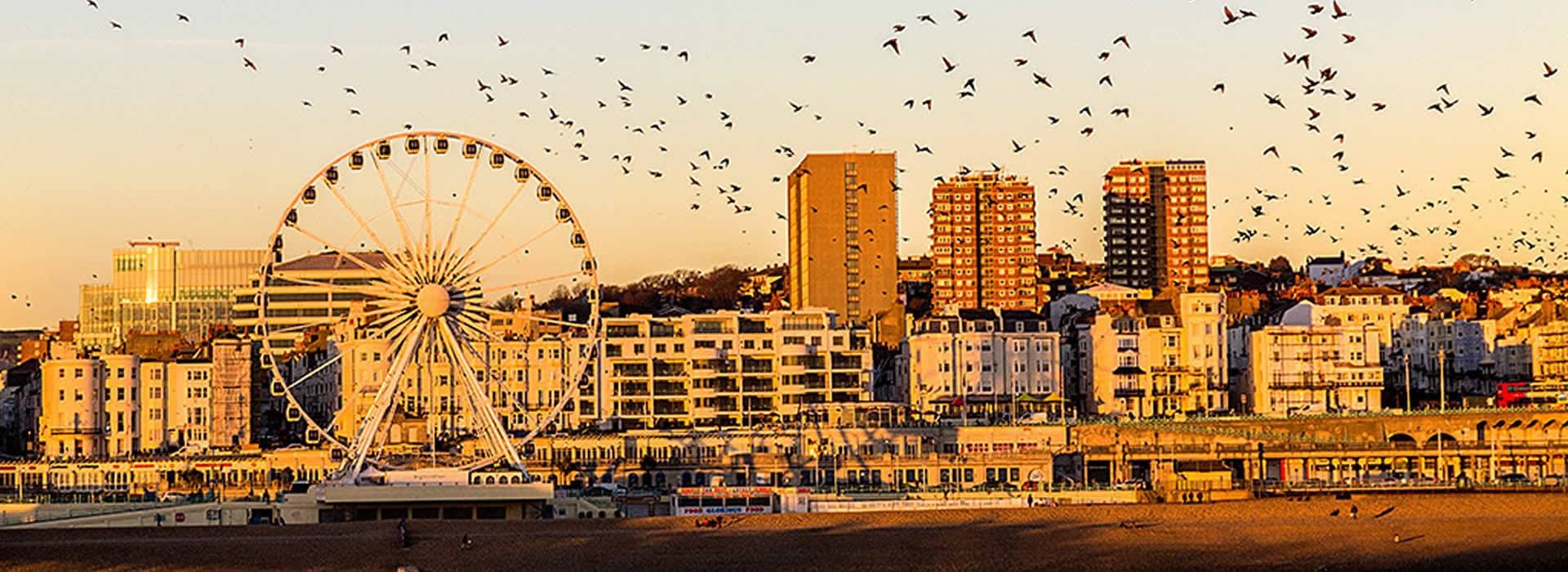 Brighton Dil Okulları