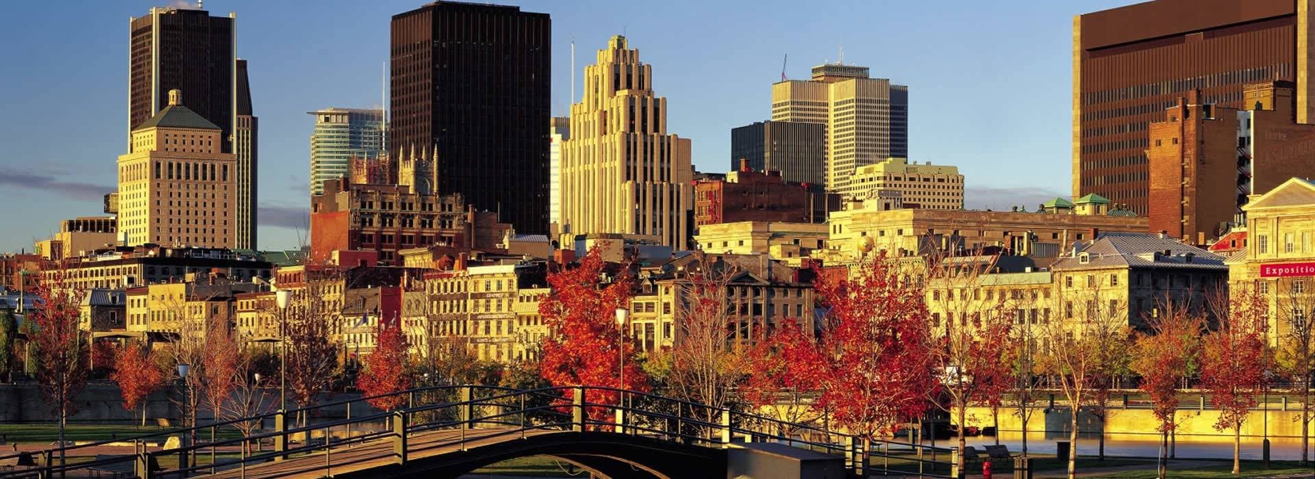 Montreal Dil Okulları